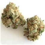 Шишки "White Widow" (Белая вдова) Гидропоника - Бошка VHQ в Краснокамске Шишки "White Widow" (Белая вдова) Гидропоника - Бошка VHQ в Краснокамске