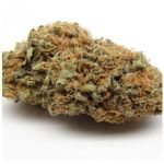 Шишки AK47 (Гидропоника, Бошка) VHQ в Краснокамске Шишки AK47 (Гидропоника, Бошка) VHQ в Краснокамске